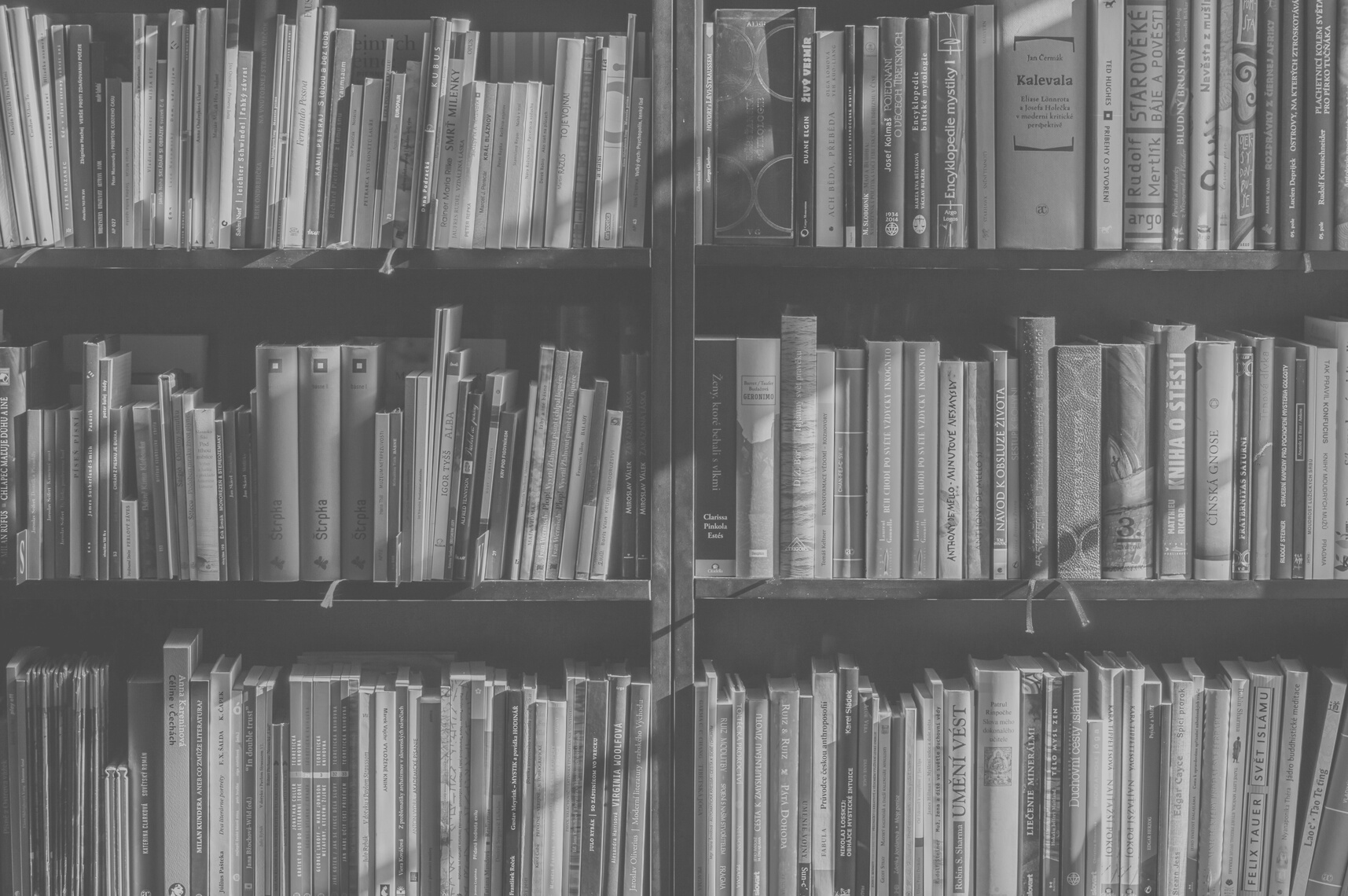 Books, Bookstore, Book, Reading, Shop, Writer